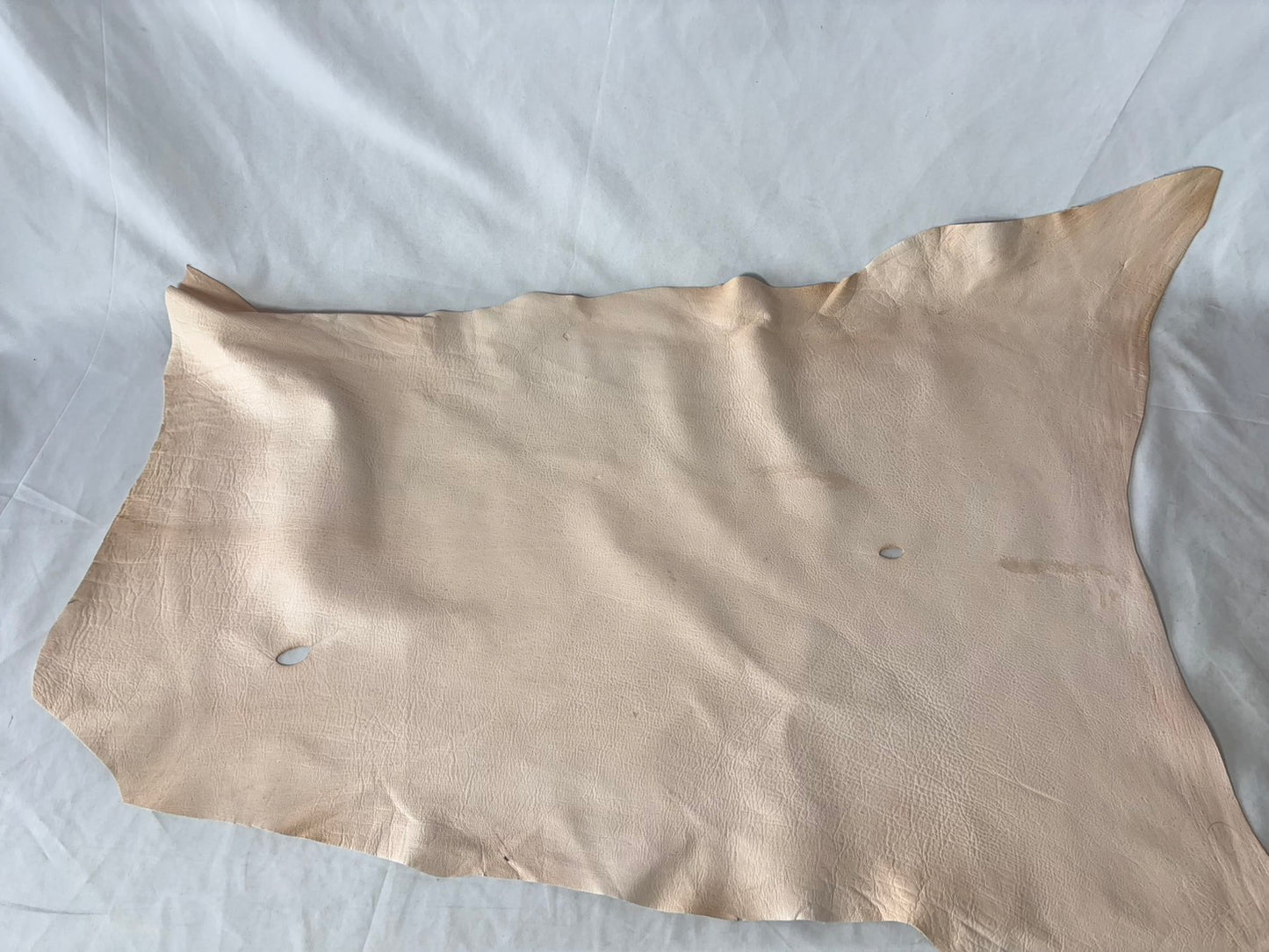 量産安価モデル　シカ革(ヌメ)ソフトタイプ　生成りカラー　平均45ds　0.8㎜～1.2㎜ｍｍ　銀面あり　