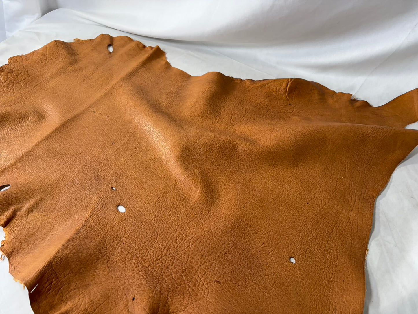 シカ革(ヌメ)ソフトタイプ　キャメルカラー　レザーAランク49ds　1.2ｍｍ　銀面あり