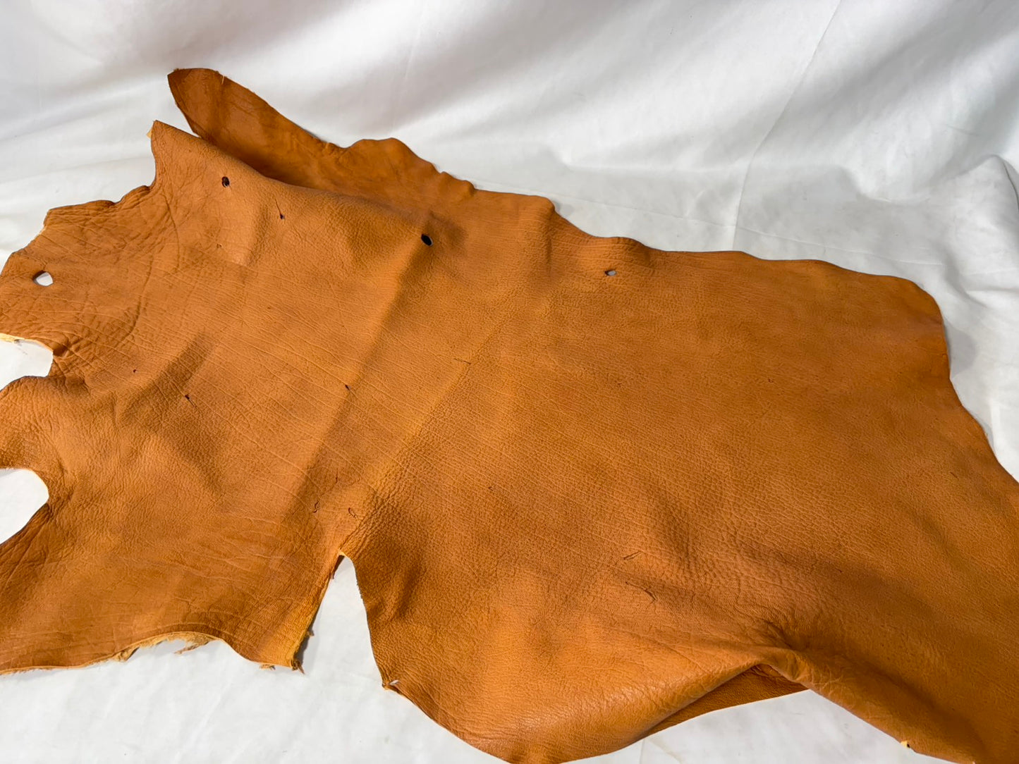 シカ革(ヌメ)ソフトタイプ　キャメルカラー　Bランク45ds　1.2ｍｍ　銀面あり 　艶なし