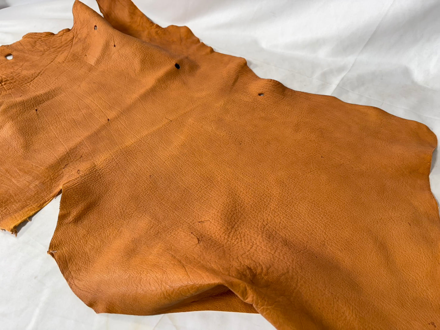 シカ革(ヌメ)ソフトタイプ　キャメルカラー　Bランク45ds　1.2ｍｍ　銀面あり 　艶なし