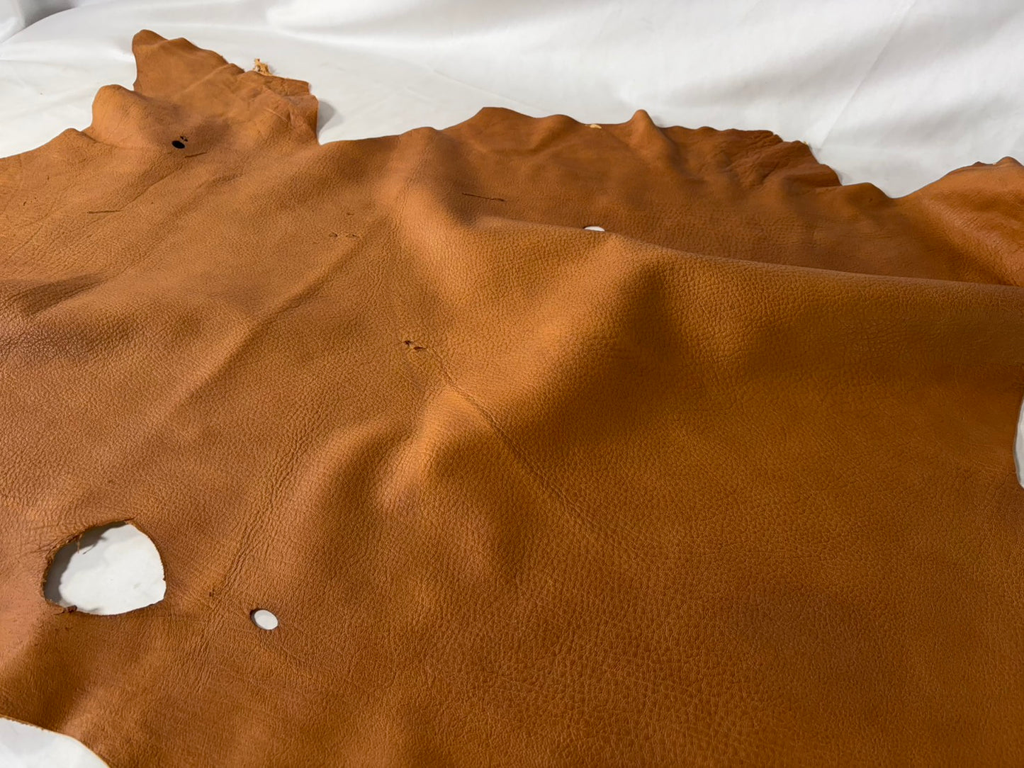 シカ革(ヌメ)ソフトタイプ　キャメルカラー　レザーAランク59ds　1.4ｍｍ　銀面あり