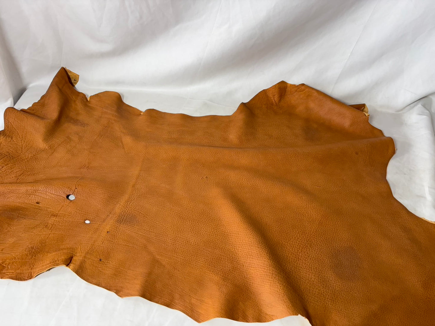 シカ革(ヌメ)ソフトタイプ　キャメルカラー　レザーAランク60ds　1.5ｍｍ　銀面あり