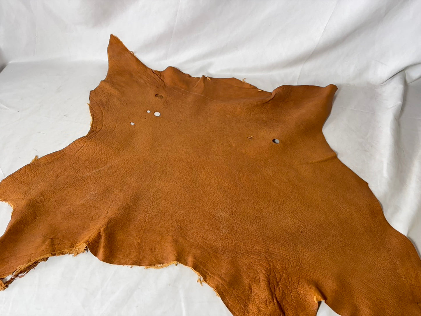 シカ革(ヌメ)ソフトタイプ　キャメルカラー　レザーAランク44ds　1.3ｍｍ　銀面あり