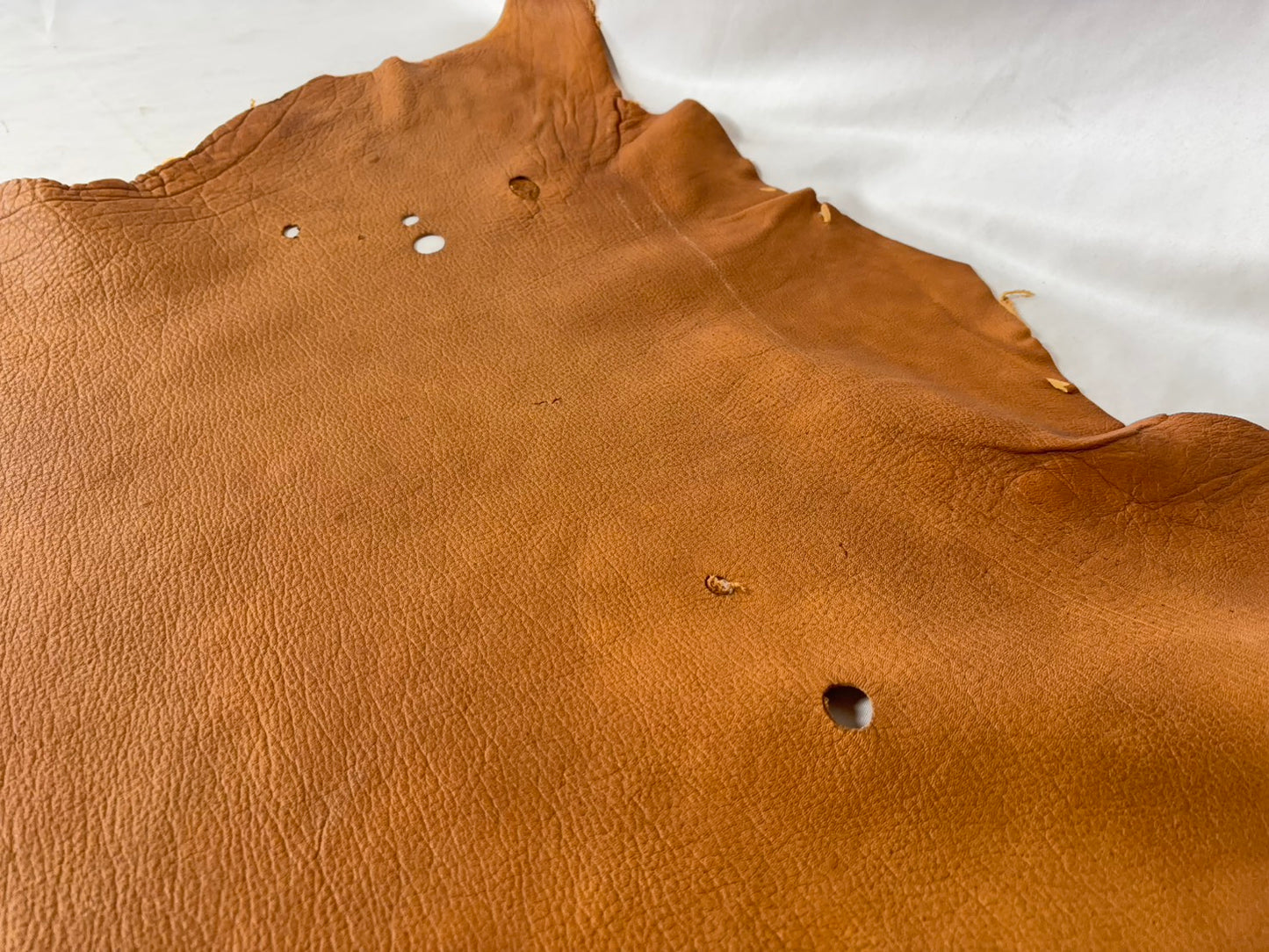 シカ革(ヌメ)ソフトタイプ　キャメルカラー　レザーAランク44ds　1.3ｍｍ　銀面あり