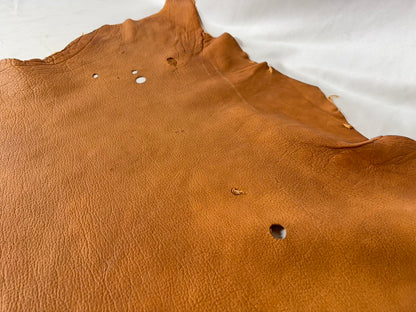 シカ革(ヌメ)ソフトタイプ　キャメルカラー　レザーAランク44ds　1.3ｍｍ　銀面あり