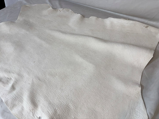 シカ革セ ーム革銀面あり　従来タイプ　　生成りカラーレザーAランク　56ds　1.5㎜