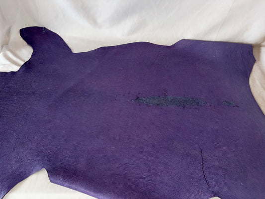 Cランクまとめ売り　　 多め