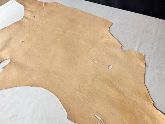 熊革(ツキノワグマ)生成りカラー　1.5㎜　47ds　Ｂランク　トコ傷あり