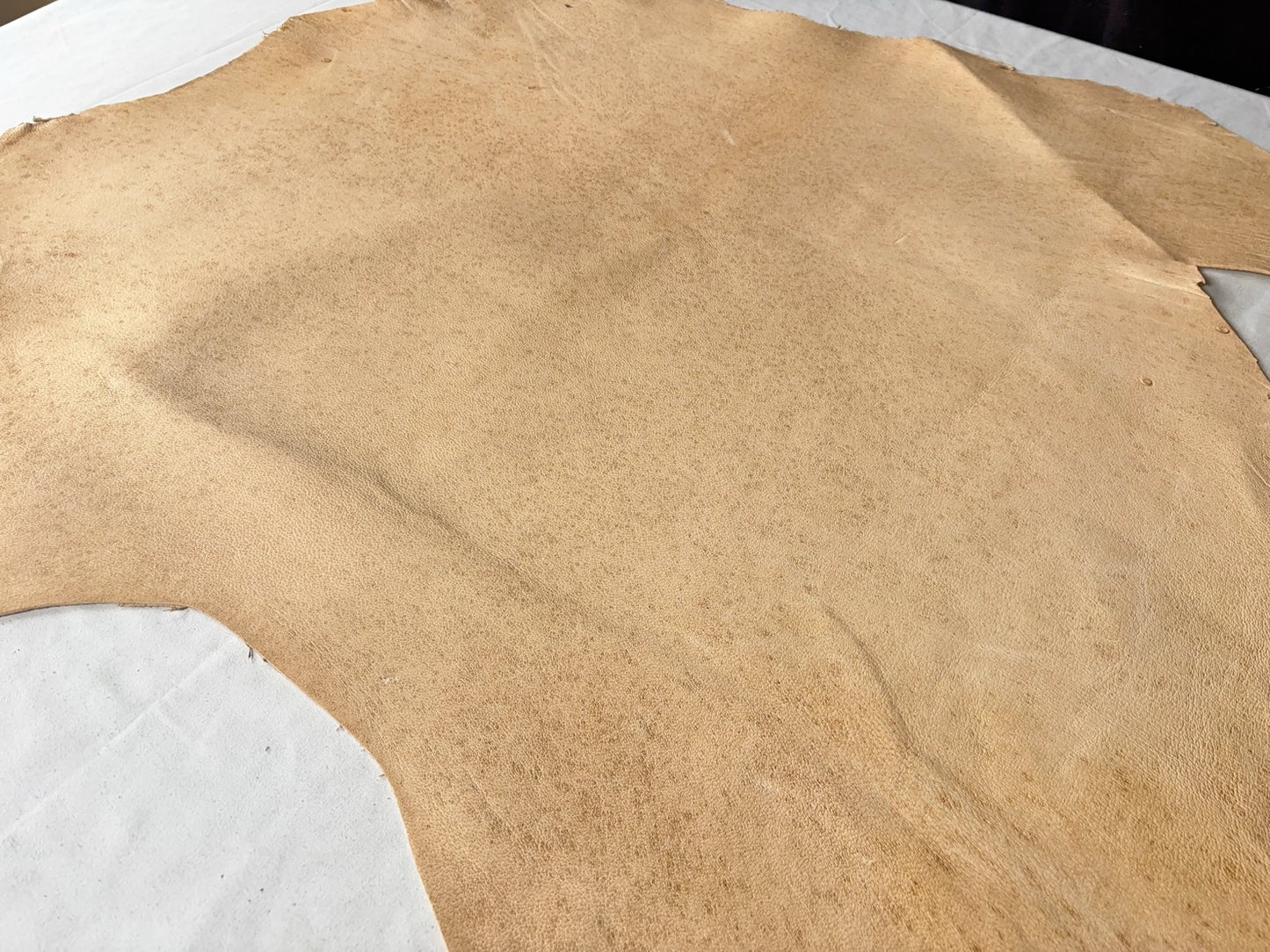 熊革(ツキノワグマ)生成りカラー　1.3㎜　53ds　Ａランク　ソバカスあり