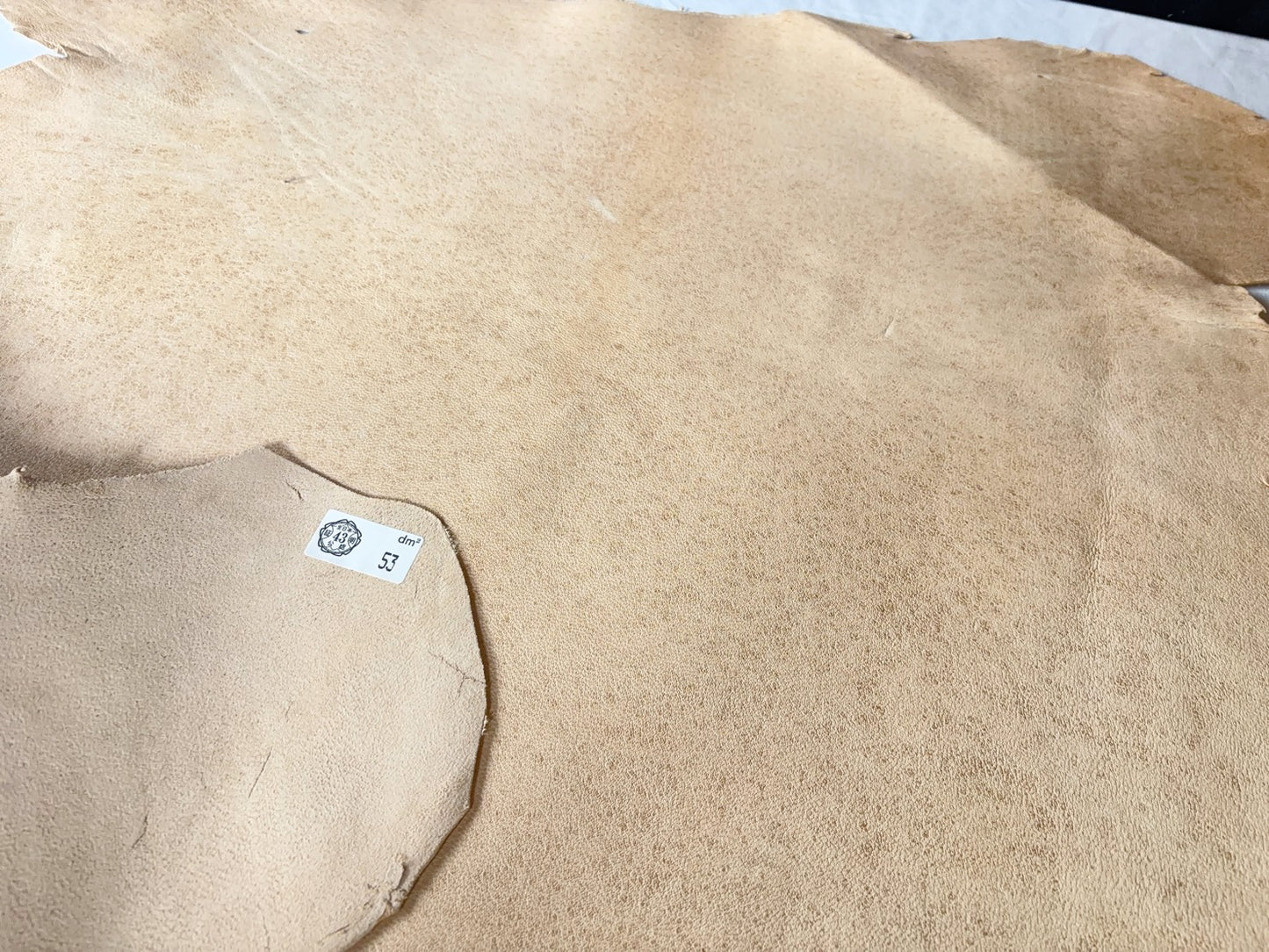 熊革(ツキノワグマ)生成りカラー　1.3㎜　53ds　Ａランク　ソバカスあり