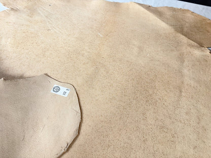 熊革(ツキノワグマ)生成りカラー　1.3㎜　53ds　Ａランク　ソバカスあり