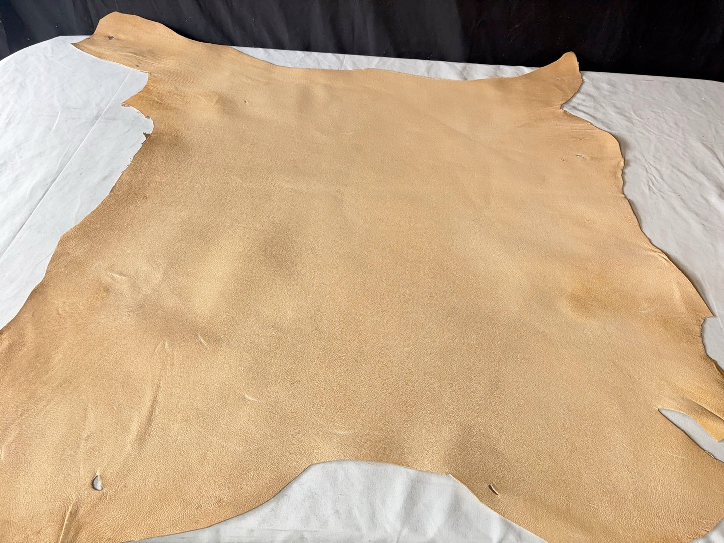 熊革(ツキノワグマ)生成りカラー　1.4㎜　68ds　Ａランク　靴用　トコ傷少量あり