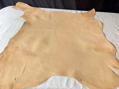 熊革(ツキノワグマ)生成りカラー　1.4㎜　68ds　Ａランク　靴用　トコ傷少量あり