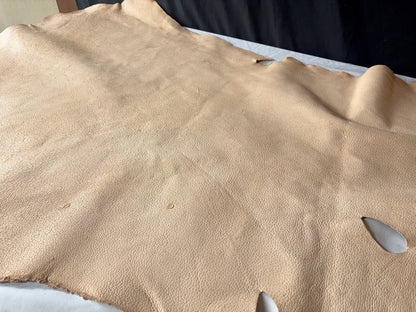 超巨大400㎏越え熊革(ヒグマ)生成りカラー　1.6㎜　136ds　Aランク　半裁 　