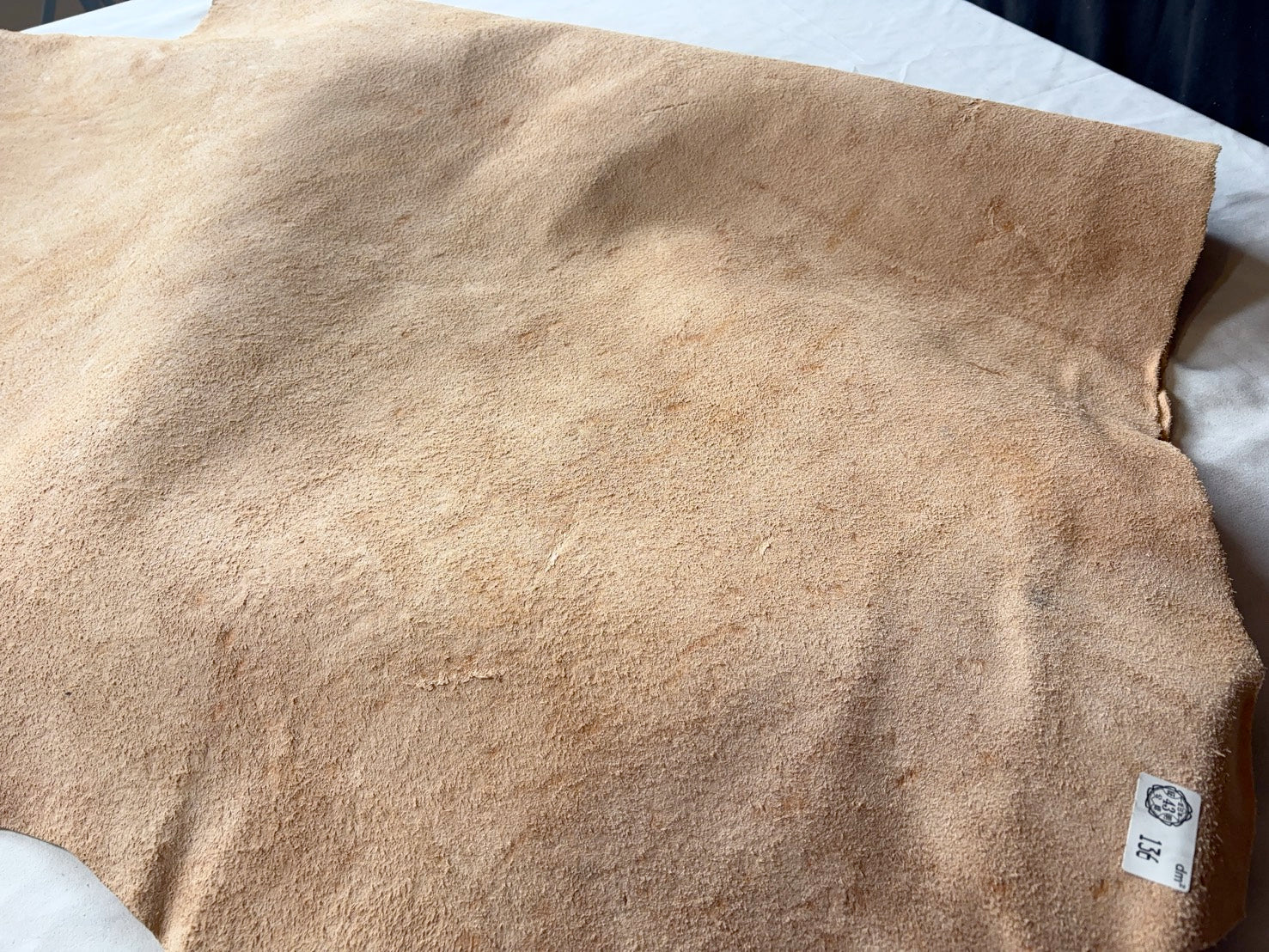 超巨大400㎏越え熊革(ヒグマ)生成りカラー 1.6㎜ 136ds Aランク 半裁