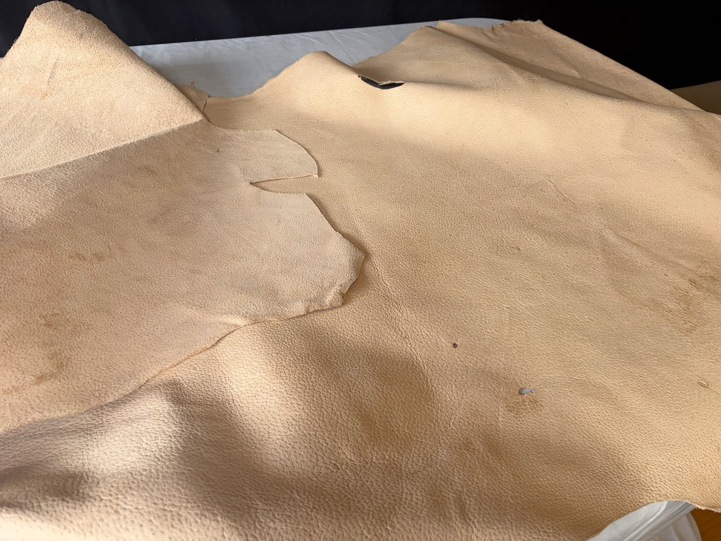 超巨大400㎏越え熊革(ヒグマ)生成りカラー　1.6㎜　132ds　Aランク　半裁 　