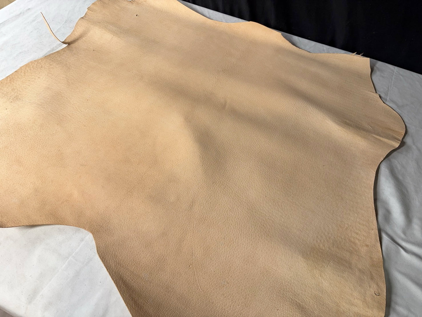 猪革(ヌメ)　生成りカラー　Aランク64ds　1.5ｍｍ銀面あり　税込み価格　