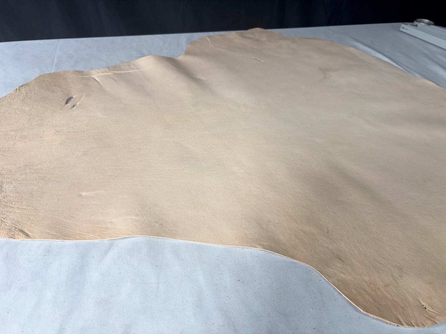 １ds99円　シカ革(ヌメ)白妙(しろたえ)生成りカラー　平均45ds　1㎜～1.2ｍｍ　銀面あり　