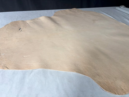 １ds99円　シカ革(ヌメ)白妙(しろたえ)生成りカラー　平均45ds　1㎜～1.2ｍｍ　銀面あり　