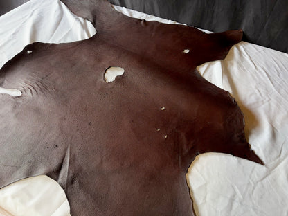 熊革ツキノワグマ　ダークブラウンカラー　1.5㎜　58ds　Cランク 小穴多数　2026年生産品